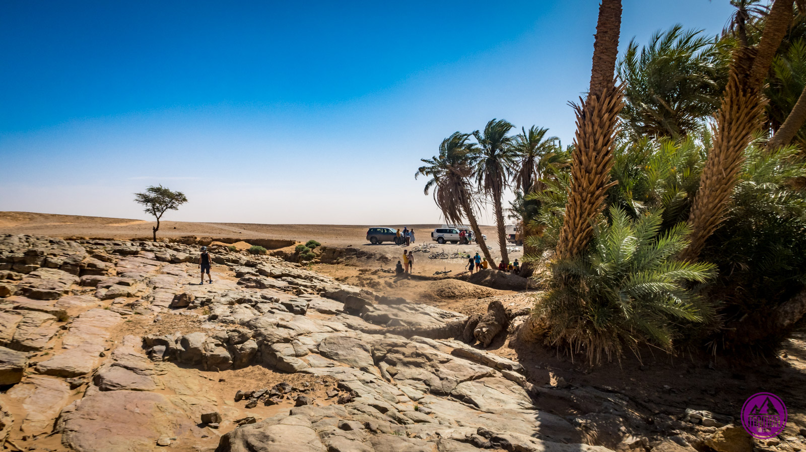 Burza piaskowa na Saharze