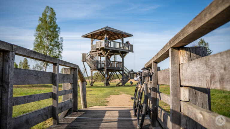 puszcza białowieska